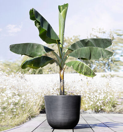 Ecopots Oslo sort 45 cm Ecopots Oslo sort 45 cm